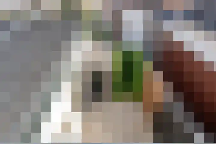 Molendijk 2 Stavenisse thumbnail 36