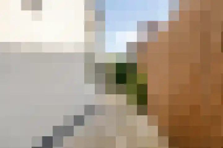 Molendijk 2 Stavenisse thumbnail 40