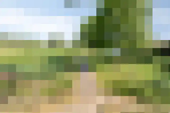 Molendijk 2 Stavenisse thumbnail 54