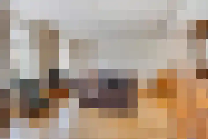 Molendijk 2 Stavenisse thumbnail 7