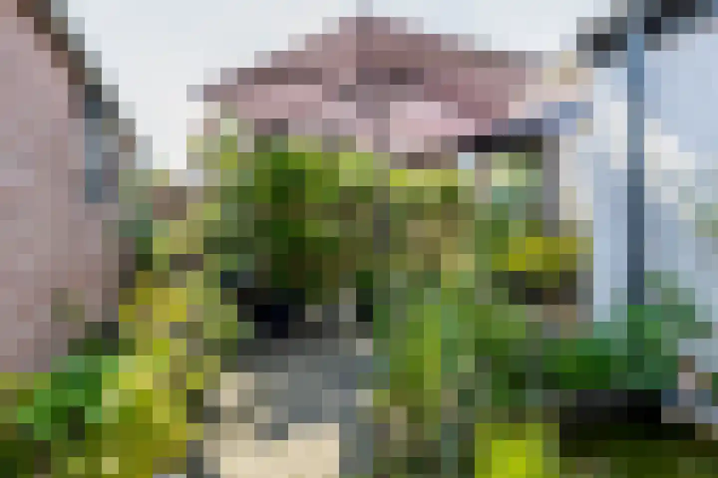 Molendijk 20 Herkingen thumbnail 27