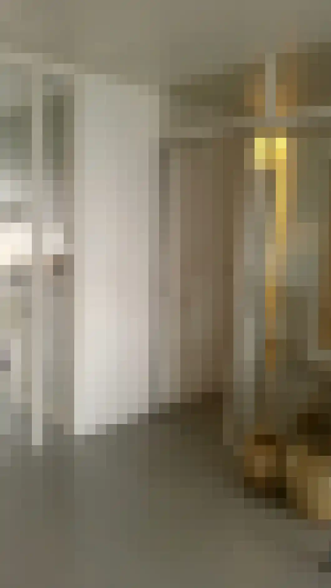 Molendijk 20 Stavenisse thumbnail 10