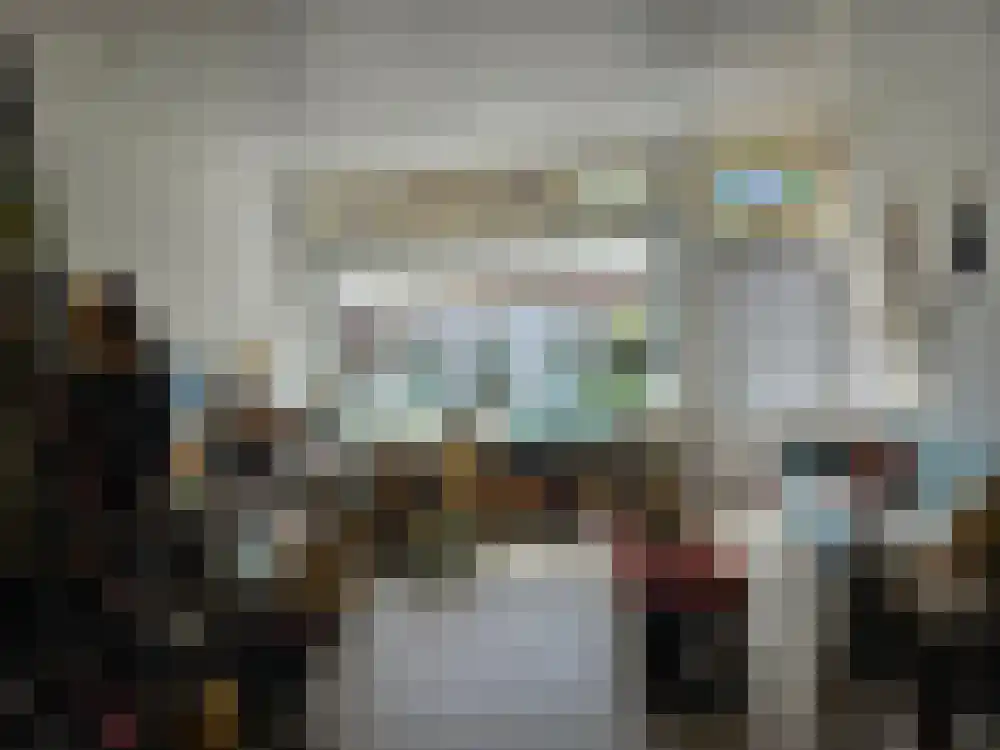 Molendijk 20 Stavenisse thumbnail 10