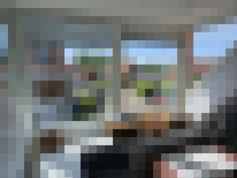Molendijk 20 Stavenisse thumbnail 21