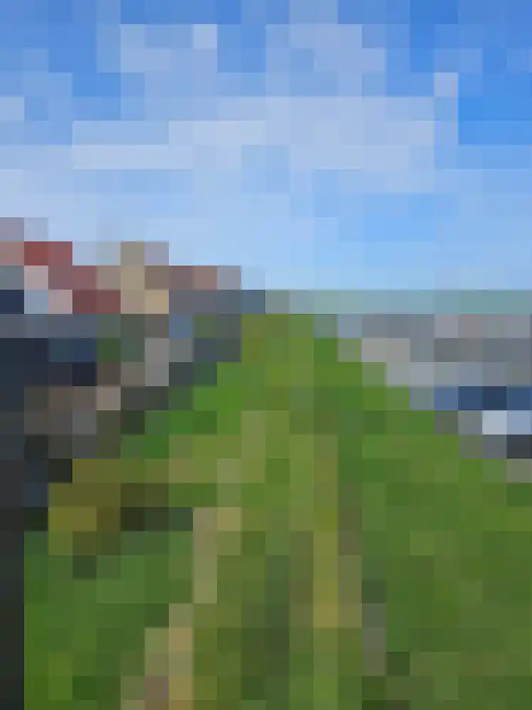 Molendijk 20 Stavenisse thumbnail 27