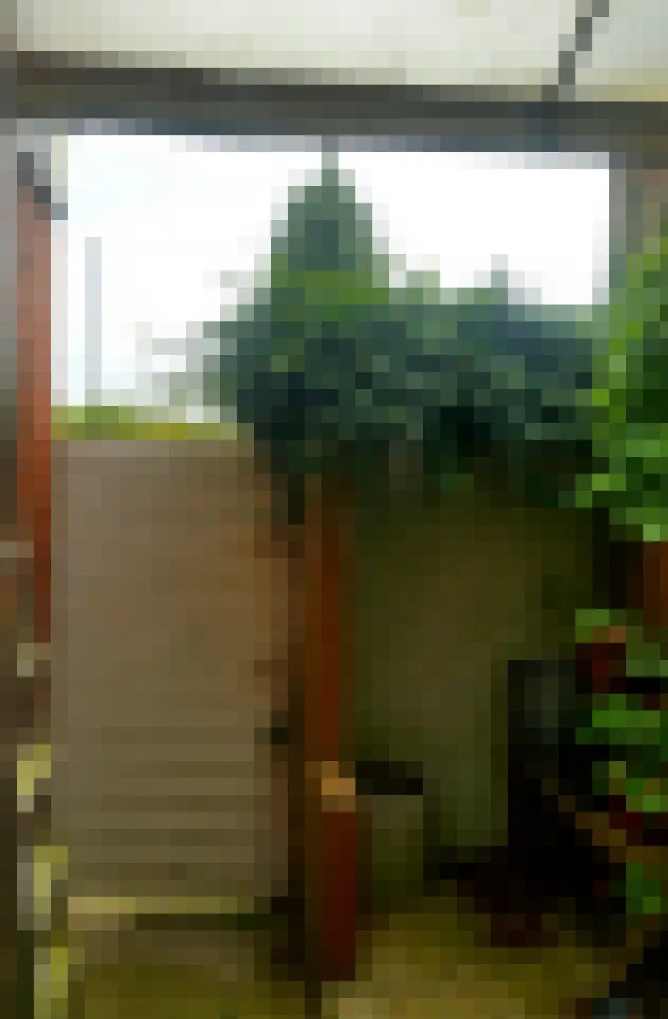 Molendijk 20 Stavenisse thumbnail 28