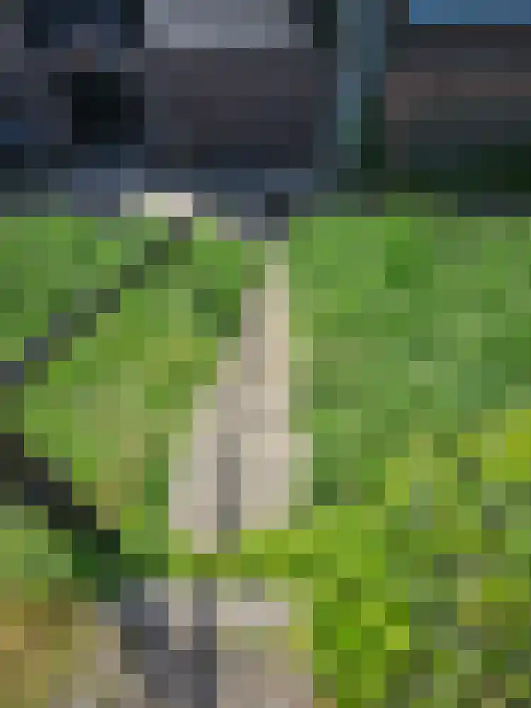 Molendijk 20 Stavenisse thumbnail 28