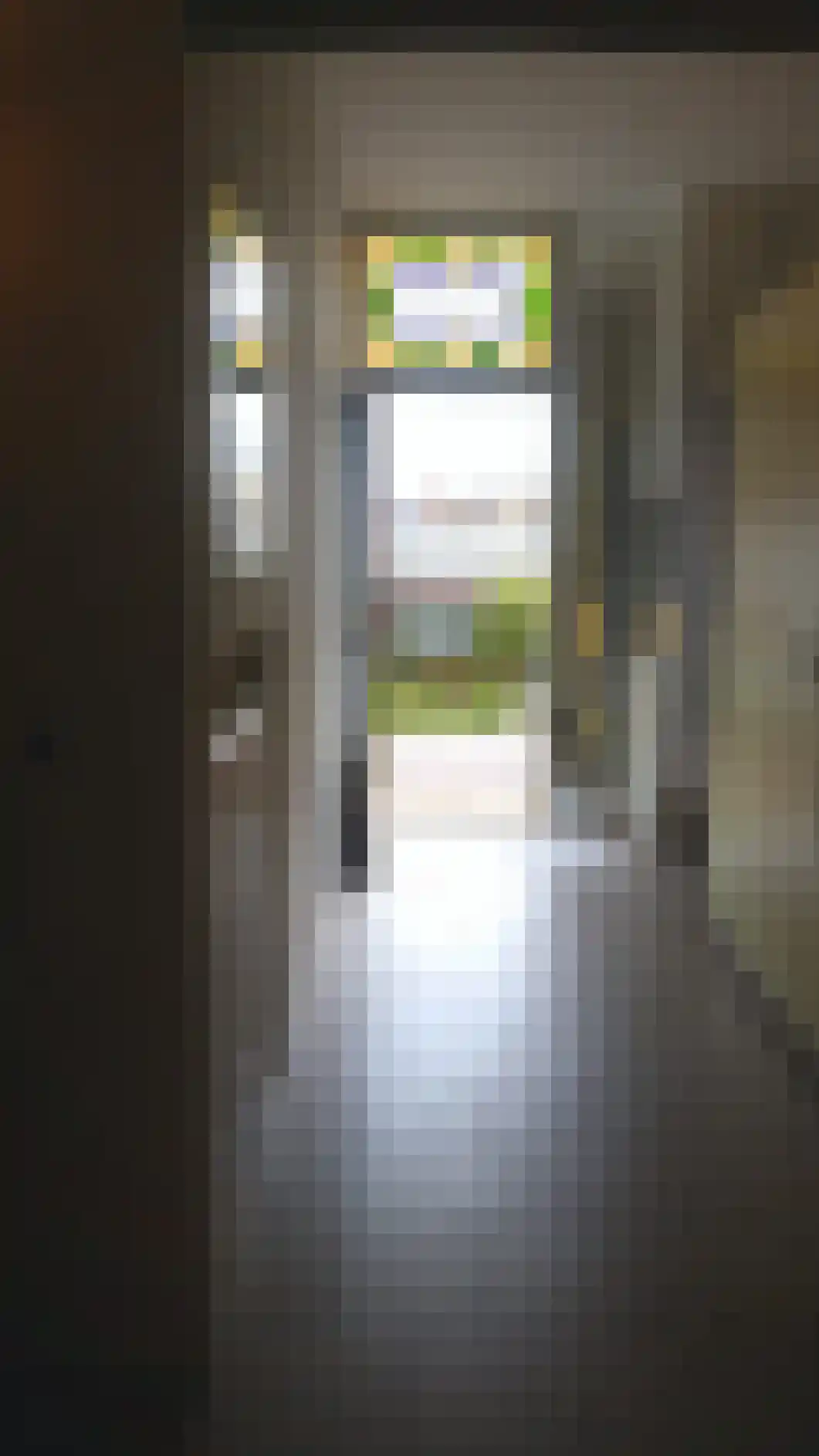 Molendijk 20 Stavenisse thumbnail 33