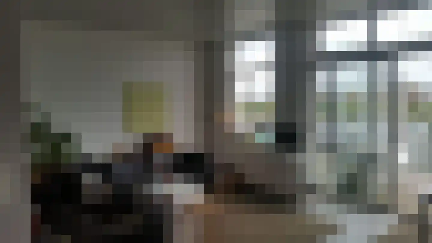 Molendijk 20 Stavenisse thumbnail 5