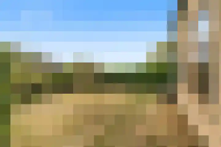 Molendijk 21 Oostvoorne thumbnail 20