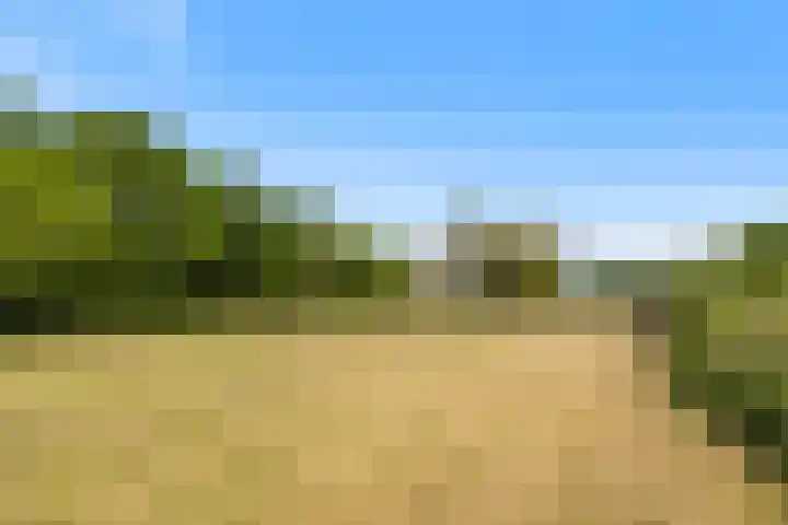 Molendijk 21 Oostvoorne thumbnail 22