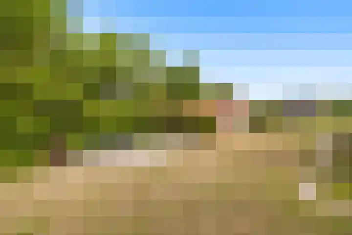 Molendijk 21 Oostvoorne thumbnail 23