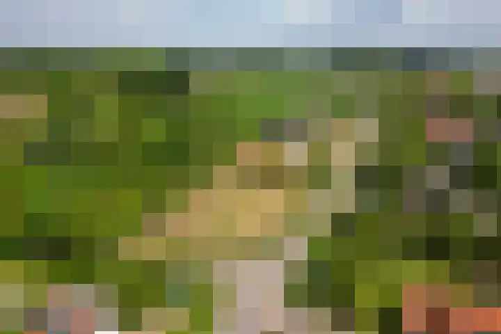 Molendijk 21 Oostvoorne thumbnail 32