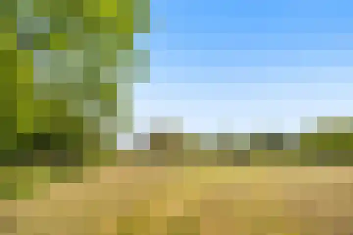 Molendijk 21 Oostvoorne thumbnail 34