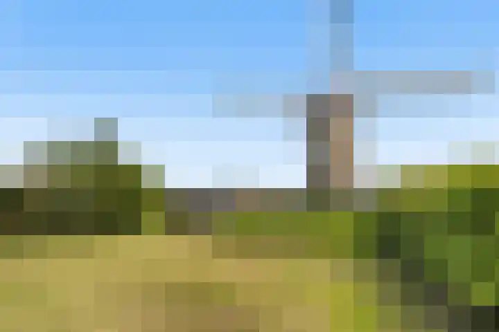 Molendijk 21 Oostvoorne thumbnail 36