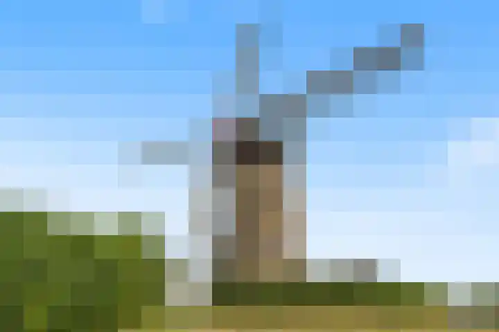 Molendijk 21 Oostvoorne thumbnail 38