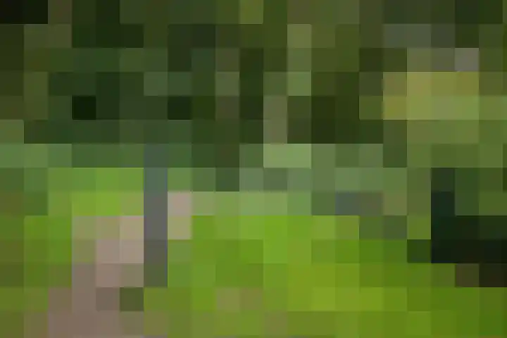 Molendijk 21 Oostvoorne thumbnail 45