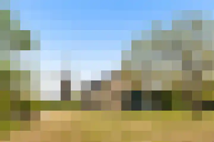 Molendijk 21 Oostvoorne thumbnail 5