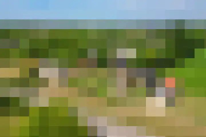 Molendijk 21 Oostvoorne thumbnail 6