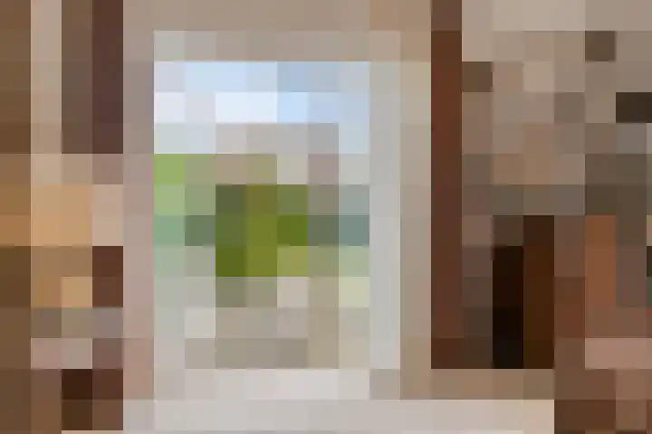 Molendijk 21 's Gravenmoer thumbnail 17