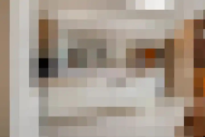 Molendijk 21 's Gravenmoer thumbnail 20