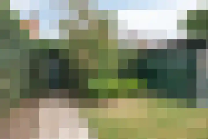Molendijk 21 's Gravenmoer thumbnail 30