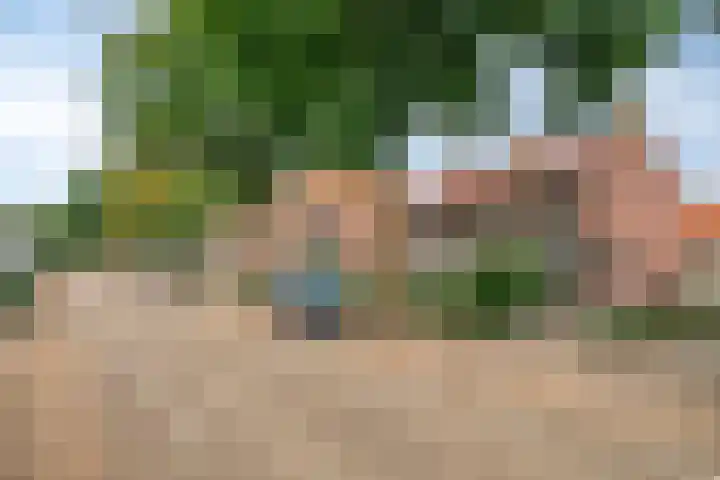 Molendijk 21 's Gravenmoer thumbnail 33