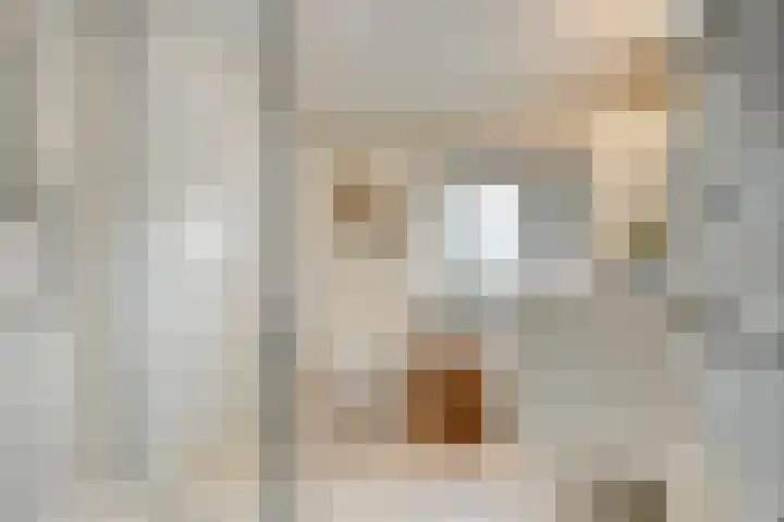 Molendijk 21 's Gravenmoer thumbnail 5