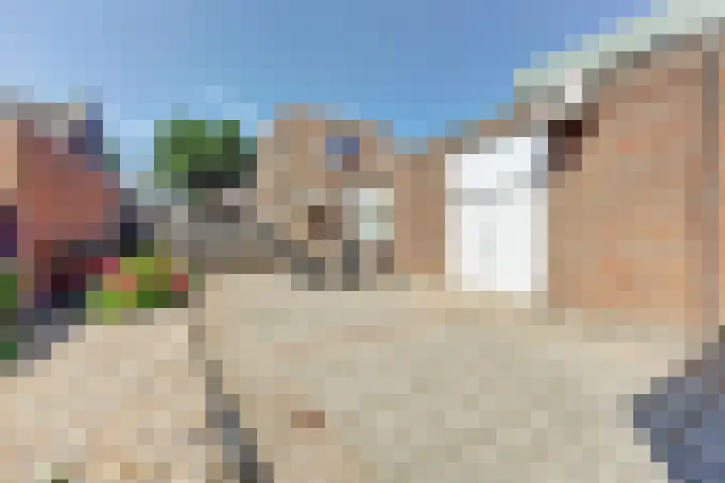 Molendijk 21 's-Heerenhoek thumbnail 30