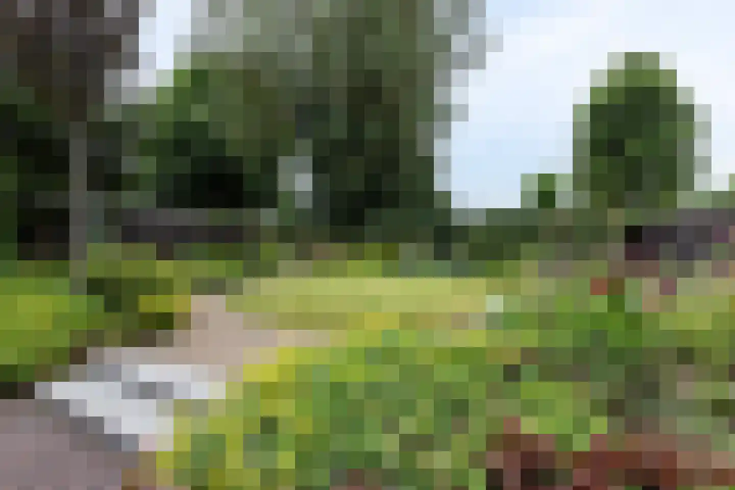 Molendijk 210 Sliedrecht thumbnail 51