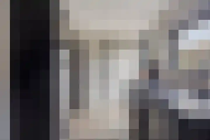 Molendijk 22 Dinteloord thumbnail 11