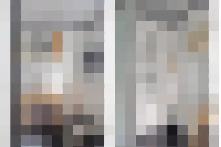 Molendijk 22 Dinteloord thumbnail 13