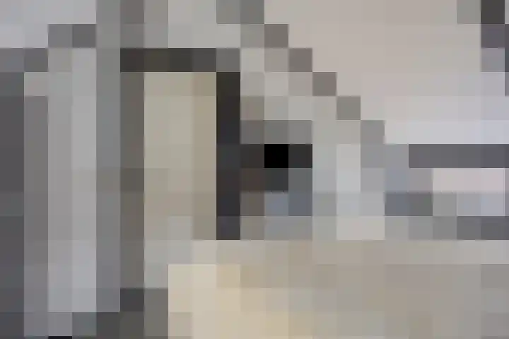 Molendijk 22 Dinteloord thumbnail 16