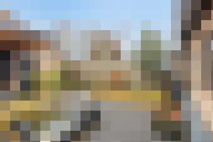 Molendijk 22 Dinteloord thumbnail 20