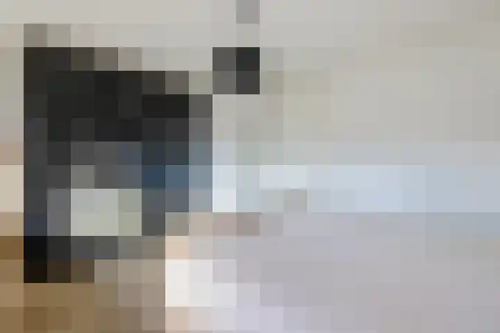 Molendijk 22 Dinteloord thumbnail 24