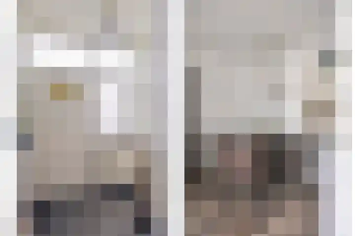 Molendijk 22 Dinteloord thumbnail 7