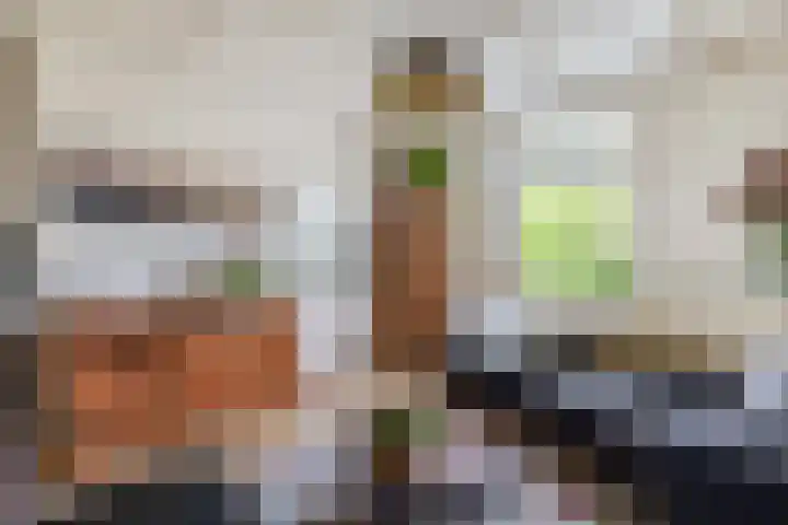 Molendijk 22 Krimpen aan de Lek thumbnail 15