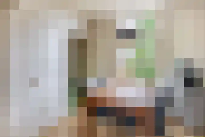 Molendijk 22 Krimpen aan de Lek thumbnail 17
