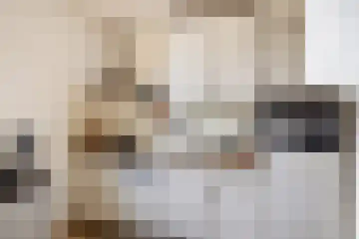 Molendijk 22 Krimpen aan de Lek thumbnail 18