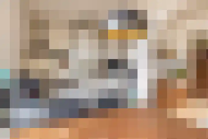 Molendijk 22 Krimpen aan de Lek thumbnail 19