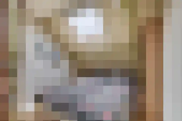 Molendijk 22 Krimpen aan de Lek thumbnail 22