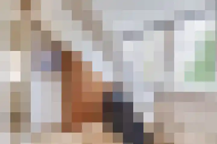 Molendijk 22 Krimpen aan de Lek thumbnail 28