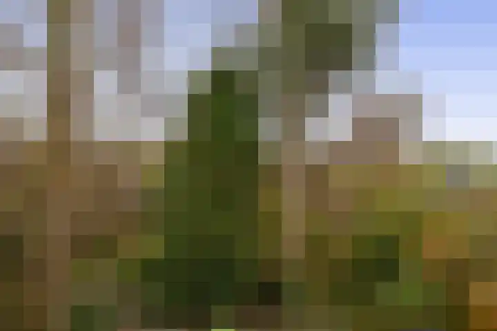 Molendijk 22 Krimpen aan de Lek thumbnail 34