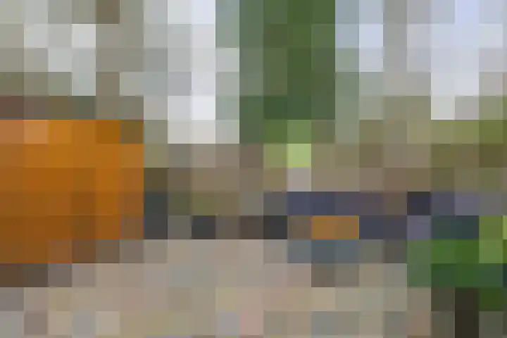 Molendijk 22 Krimpen aan de Lek thumbnail 36