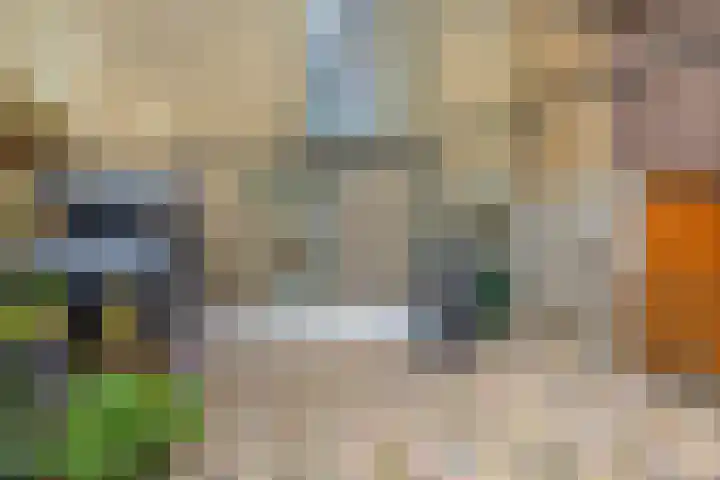 Molendijk 22 Krimpen aan de Lek thumbnail 39