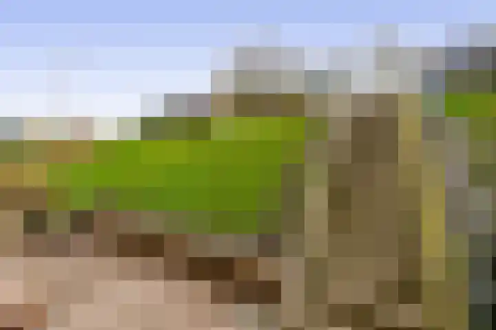 Molendijk 22 Krimpen aan de Lek thumbnail 7