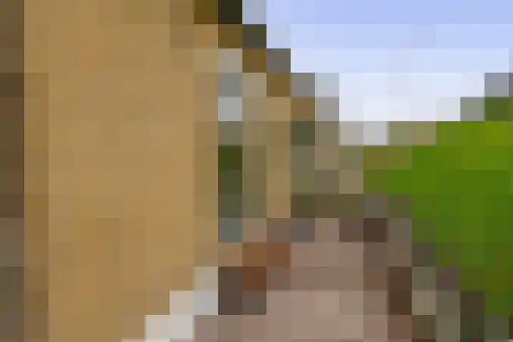 Molendijk 22 Krimpen aan de Lek thumbnail 8