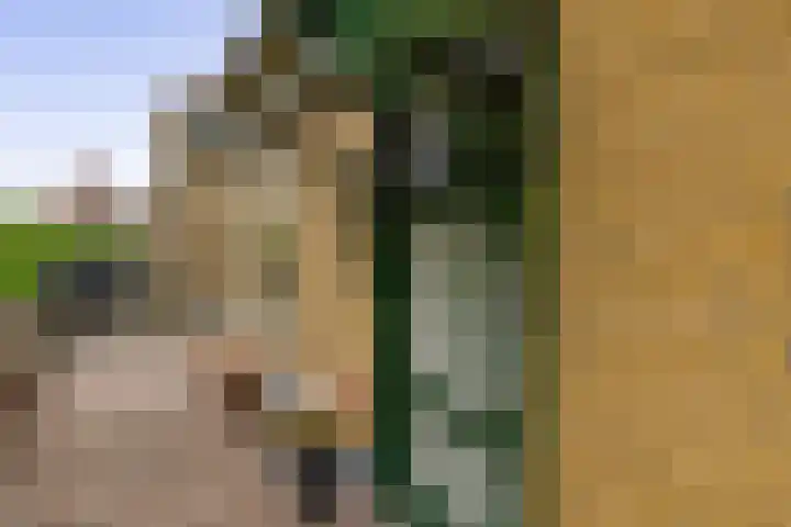 Molendijk 22 Krimpen aan de Lek thumbnail 9