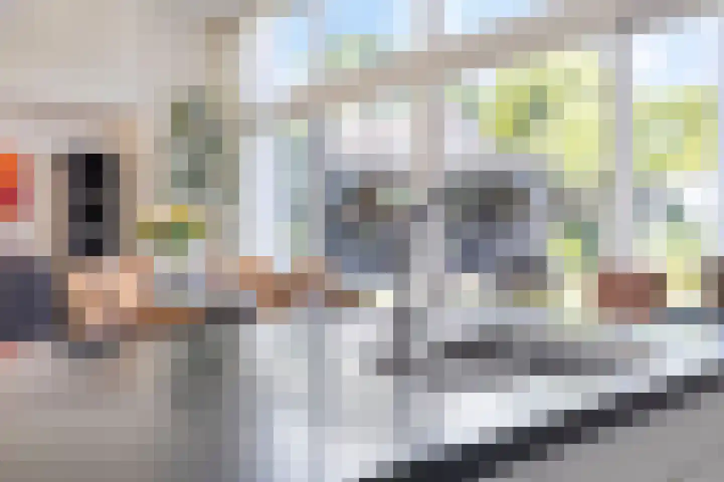 Molendijk 23 Boxmeer thumbnail 32