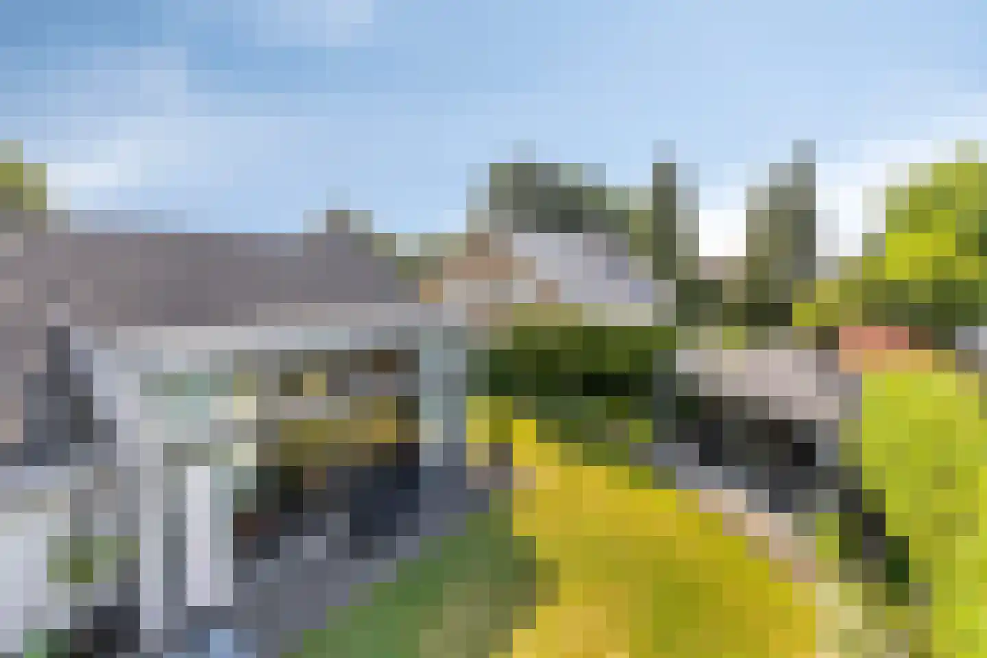Molendijk 23 Boxmeer thumbnail 60